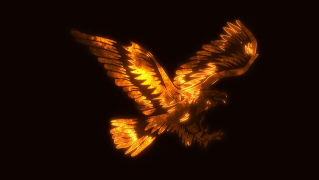 Golden Eagle Hawk Animated Logo - Loop Graphic Element Overlay