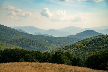Fototapeta premium A mountain range in the Bieszczady Mountains in the area of Tarnica, Halicz and Rozsypaniec.