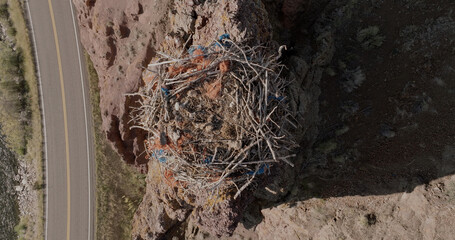 Polluted Osprey Nest