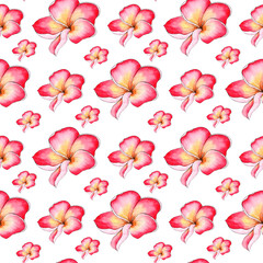 Watercolor frangipani plumeria flower background