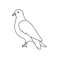 Continuous Pigeon bird one continuous line graphic vector illustration