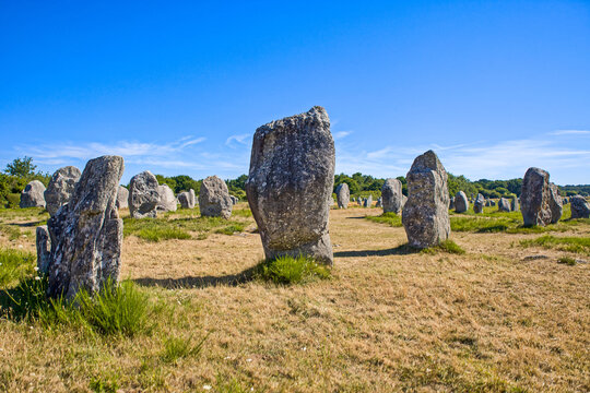 the famous menhirs at carnac at sunlight