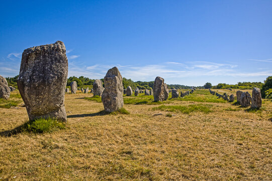 the famous menhirs at carnac at sunlight