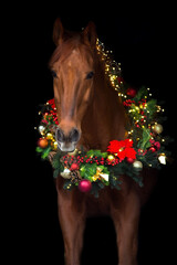 Horse in christmas decor