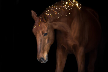 Horse in New year decor