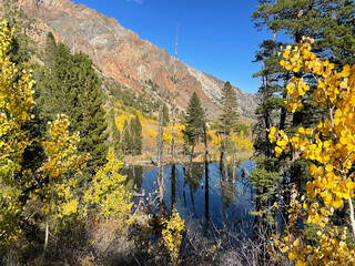 Mountains, water, and fall colors reflected in a pond at Lundy Canyon, Eastern Sierra California