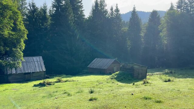 Mountain meadow with old wooden herdsman hut
