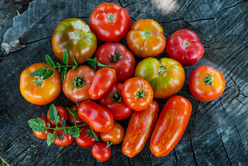 Tomatoes of different shapes and leaves on a dark wooden background. View from above.