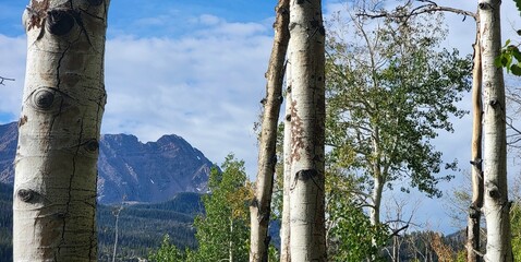 Beautiful start to fall in the Rocky Mountains
