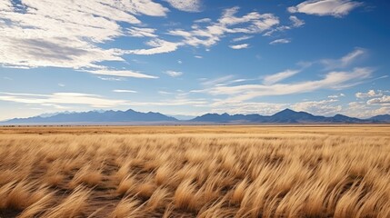 nature argentinian pampas vast illustration landscape hills, scenic argentina, camera photography nature argentinian pampas vast - obrazy, fototapety, plakaty