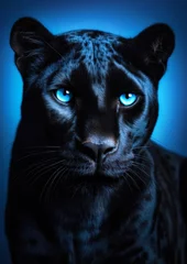 Foto op Plexiglas Animal portrait of a black panther on a blue background conceptual for frame © gnpackz