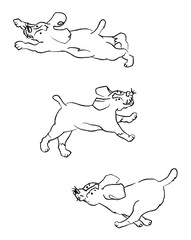 playing dog line drawing / doodle art