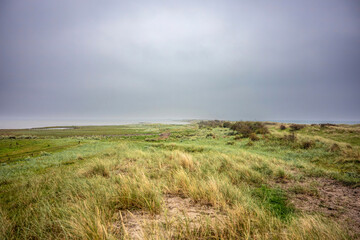 Landscape impression of nature reserve Saksfjed, Hyllekrog in Denmark in summer at a cloudy day