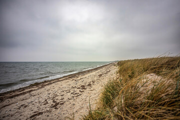 Landscape impression of nature reserve Saksfjed, Hyllekrog in Denmark in summer at a cloudy day