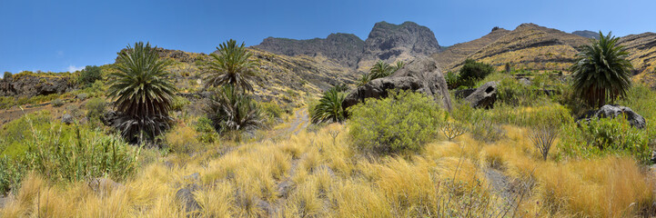 Landschaft in den Bergen der Insel Gran Canaria - obrazy, fototapety, plakaty