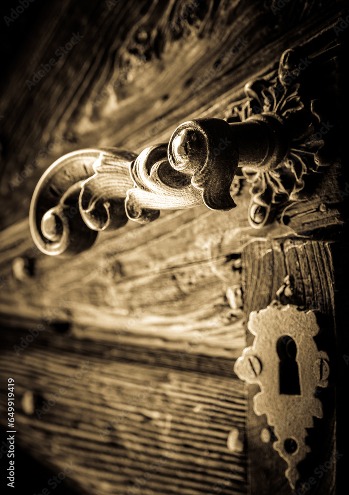 Canvas Prints old door handle - knocker