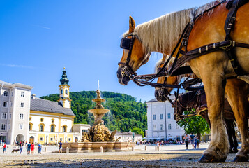 Naklejka premium famous old town of Salzburg - austria