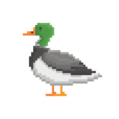 Waterfowl male duck, 8 bit pixel icon, embroidery