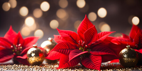 Christmas poinsettia flowers decoration with christmas ornaments balls over sparkling background. Festive banner composition with copy space. - Powered by Adobe