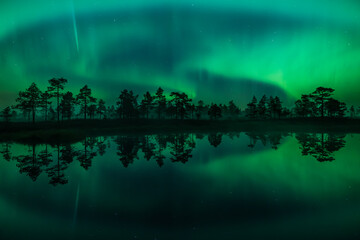 Green aurora borealis lights reflected on the surface of a small lake in the woods in Finland