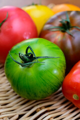 Variety of colorful tasty ripe french tomatoes on farmers market in Provence in summer close up