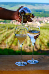 Tasting of premier cru sparkling white wine with bubbles champagne with view on green pinot noir,...
