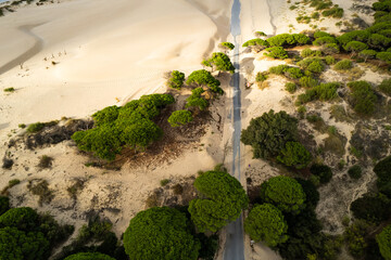 The road in the Duna de Valdevaqueros ( The Valdevaqueros Dune ) white sand dunes in Tarifa, Spain.