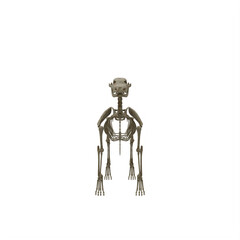 Dog Skeleton
