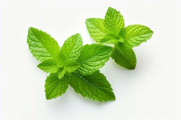 Fresh mint leaves on a simple white background. Generative AI