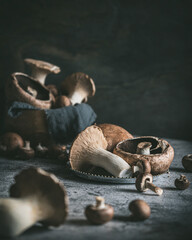 Variety of Edible Mushrooms