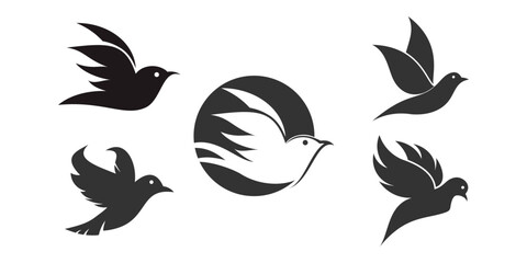 Fototapeta premium Set flying bird logo design with creative concept Premium Vector