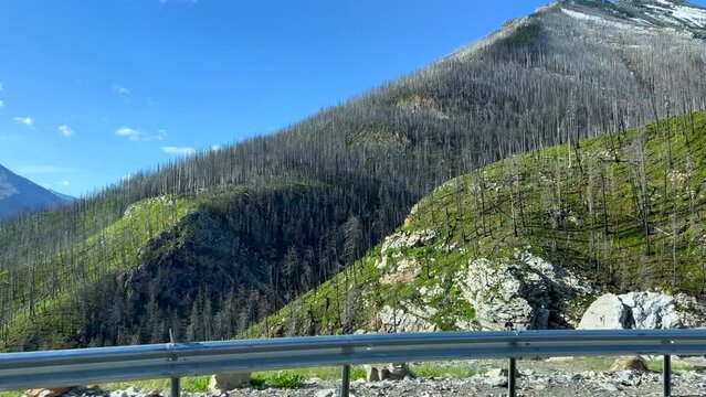 Driving through Waterton Lake National Park in Waterton Park, AB