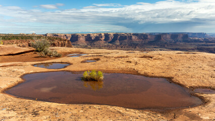 Potholes
Island in the Sky
Canyonlands National Park
Utah