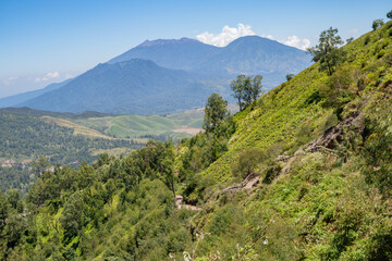 Landscape mountain when morning time sunlight summer vibes. The photo is suitable to use for adventure content media, nature poster and forest background.