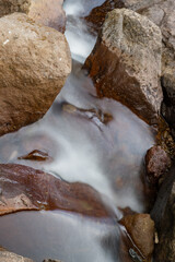 Tropical river flow on Semarang Central Java with green leaf and river stone. The photo is suitable to use for adventure content media, nature poster and forest background.