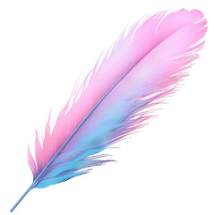 Feather in a feather, isolated object, Transparent Background
