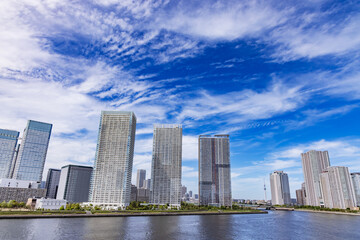 Obraz premium 水辺に建つ東京のビル群
