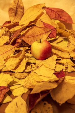 apple on the background of autumn leaves