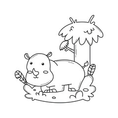 Jungle animal coloring book design vector