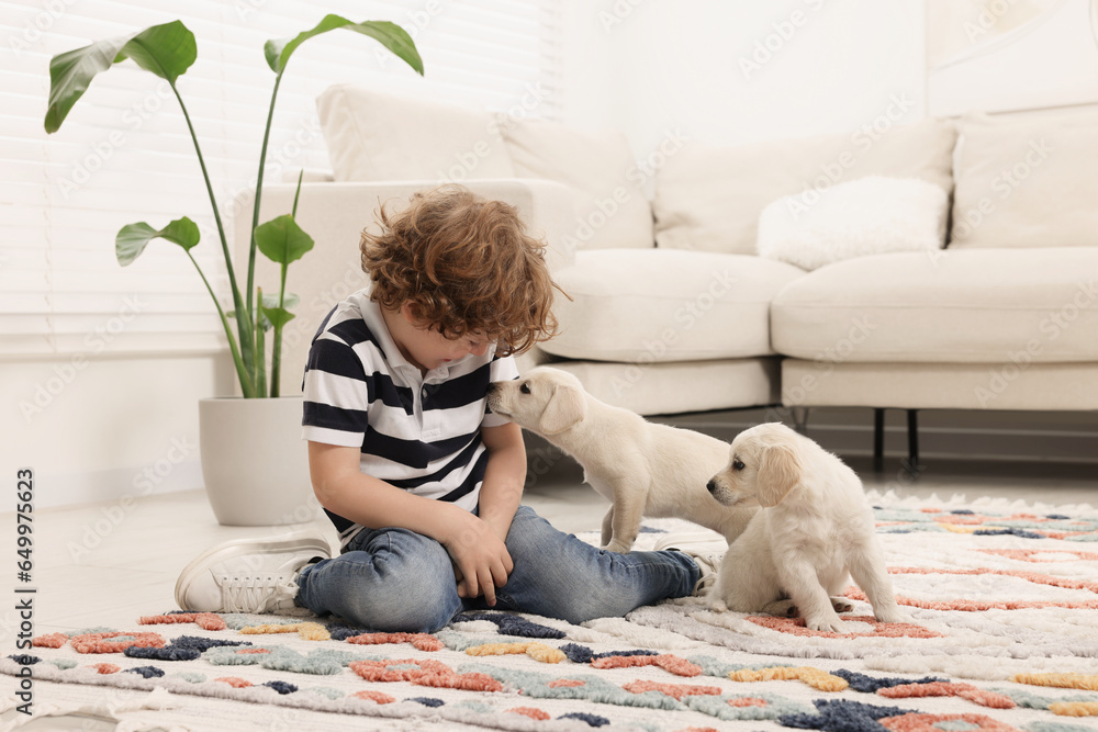 Sticker Little boy with cute puppies on carpet at home