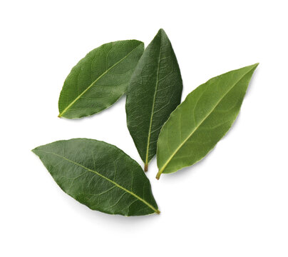 Aromatic fresh bay leaves isolated on white, top view