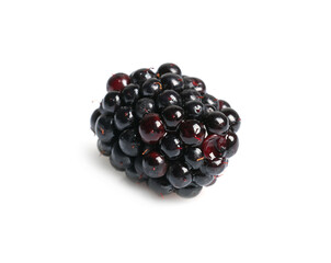 One tasty ripe blackberry isolated on white