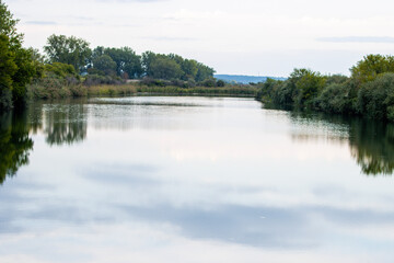 Fototapeta premium lake in the park