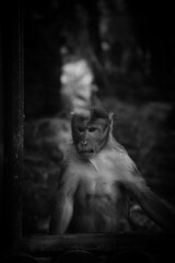 portrait of a person