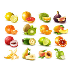 collection of fruits vector illustration