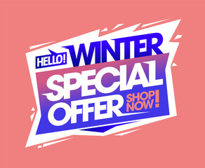 Winter special offer, shop now, sale vector web banner