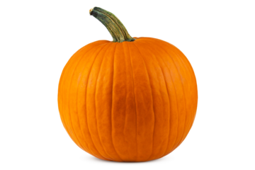 Pumpkin. Pumpkin good for carving a Jack o Lantern on Halloween. Farm autumn October harvest. Pumpkin for Oktoberfest. Happy Thanksgiving day. High resolution photo. White isolated background.