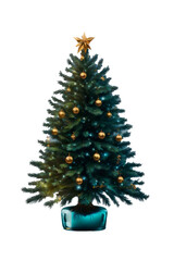 Fototapeta premium New Year tree 2024, transparent background