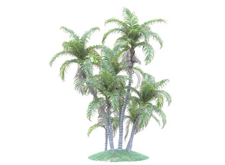 palm trees on grass isolated