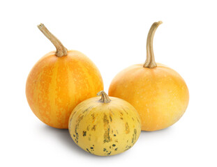 Fresh pumpkins on white background